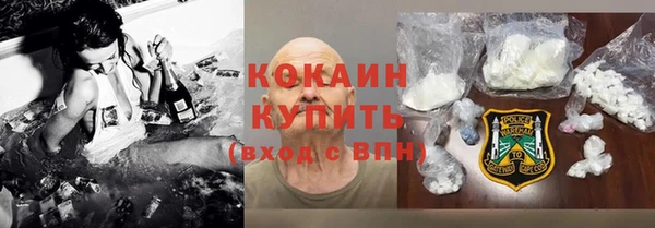 стаф Вяземский