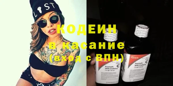 стаф Вяземский