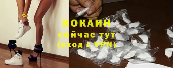 стаф Вяземский