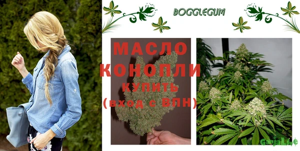 стаф Вяземский