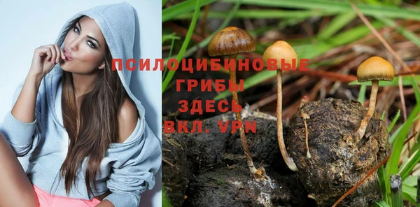 стаф Вяземский