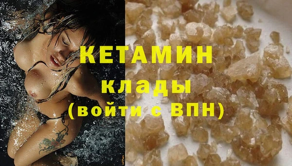 стаф Вяземский