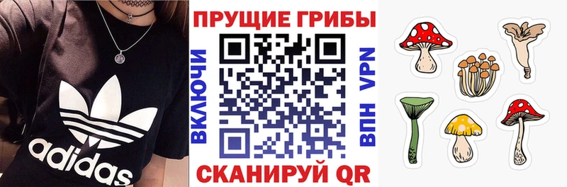 Псилоцибиновые грибы Psilocybe ссылка на мегу ссылки Уржум